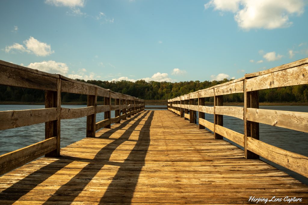 naturfotograf
